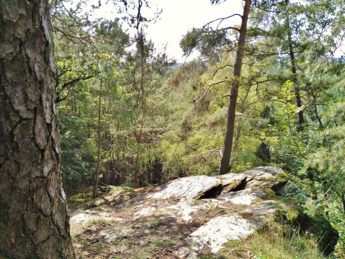 Fewo Well Gladenbach ภายนอก รูปภาพ