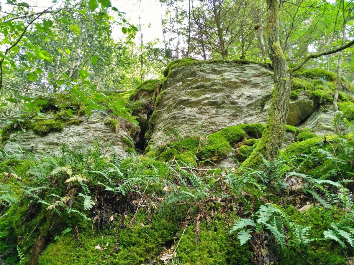 Fewo Well Gladenbach ภายนอก รูปภาพ