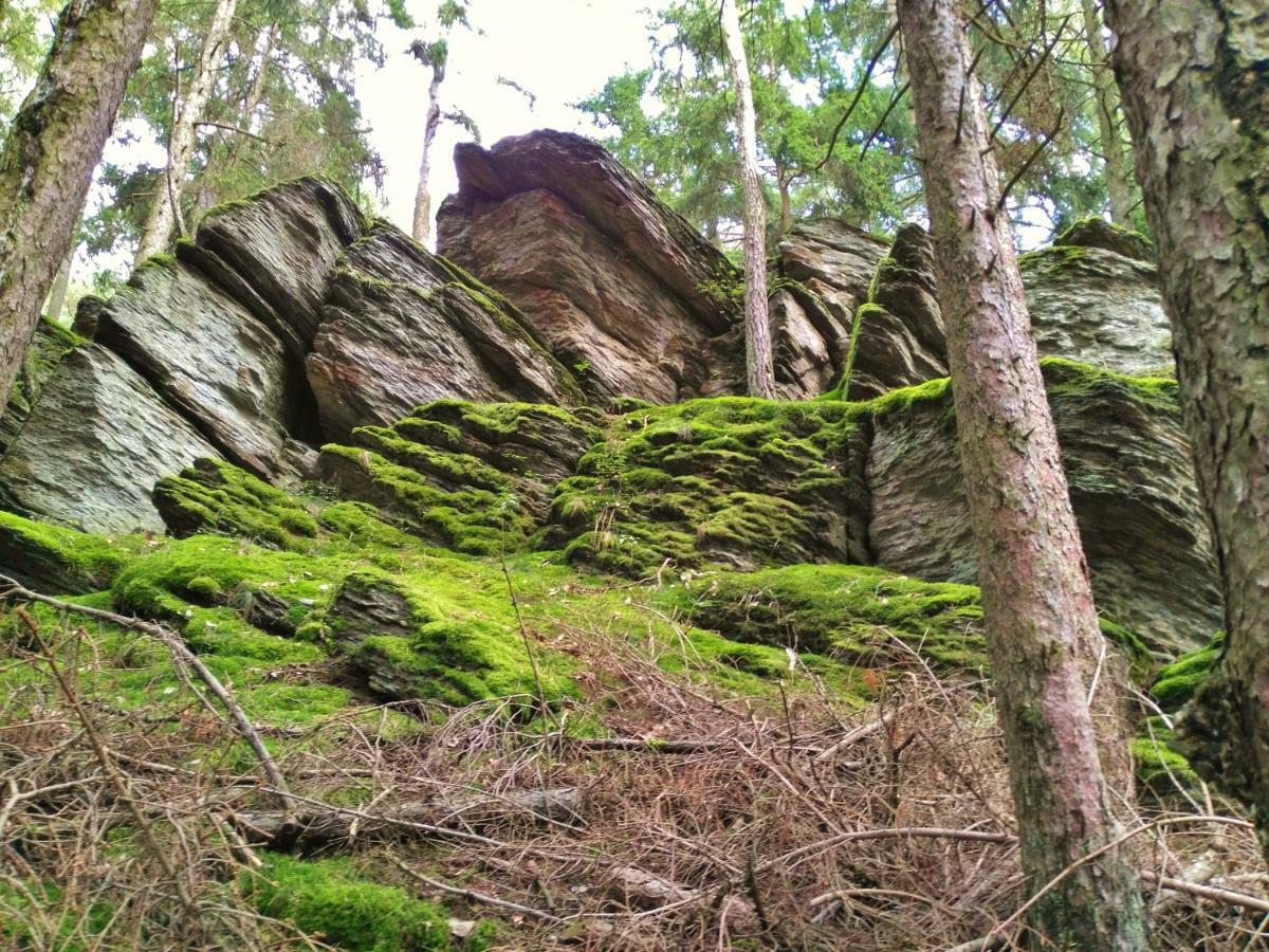 Fewo Well Gladenbach ภายนอก รูปภาพ